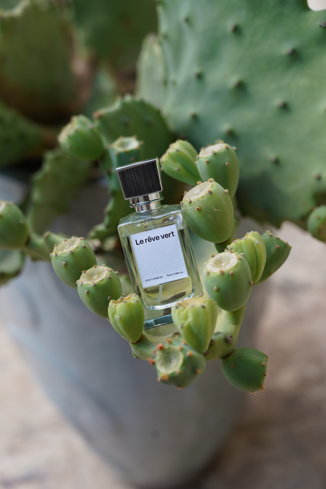 Le rêve vert <br> Eau de toilette, 70ml